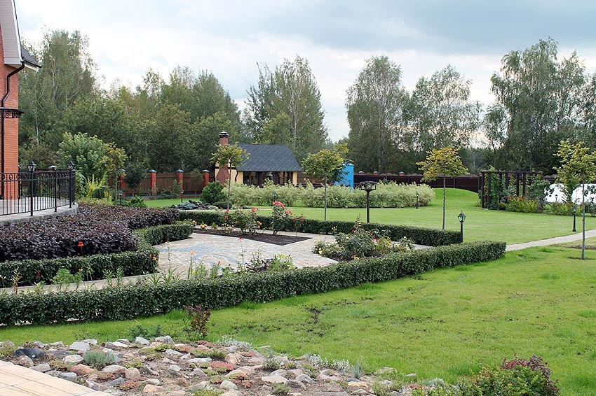 Живые изгороди