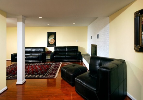 Design ideas for a traditional living room in DC Metro.