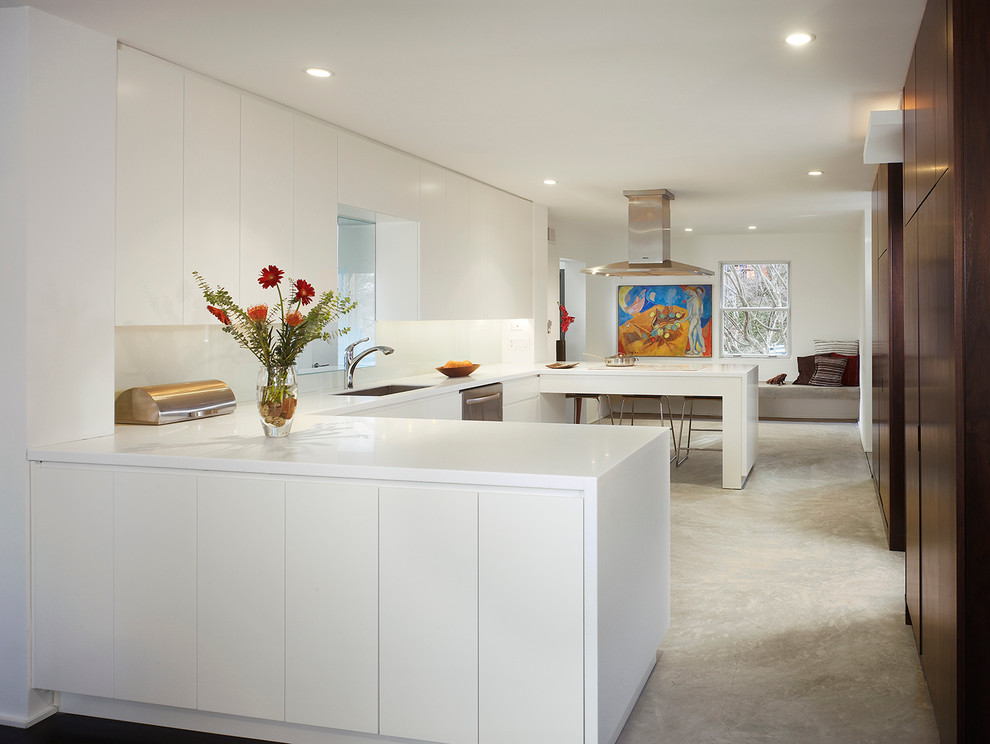 Modern u-shaped kitchen in DC Metro with flat-panel cabinets, white cabinets, glass sheet splashback, an undermount sink, white splashback and stainless steel appliances.