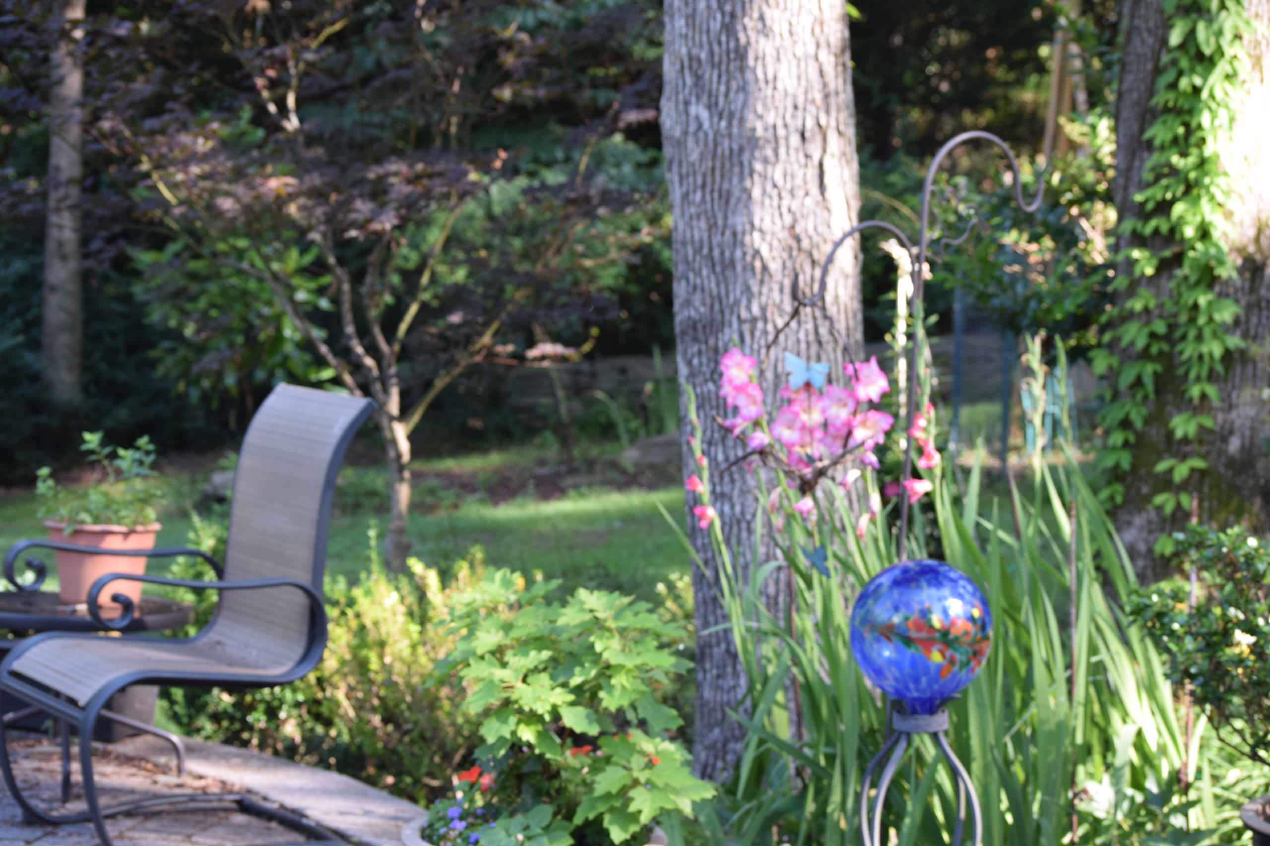 Back yard makeover