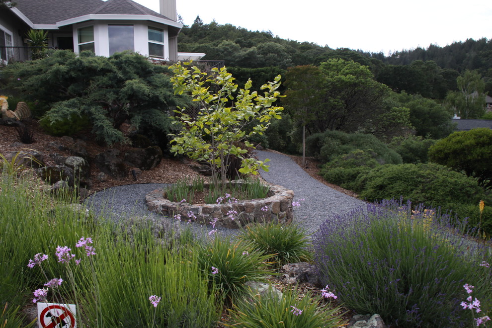 This is an example of a mid-sized contemporary front yard partial sun garden for summer in San Francisco with a retaining wall and gravel.