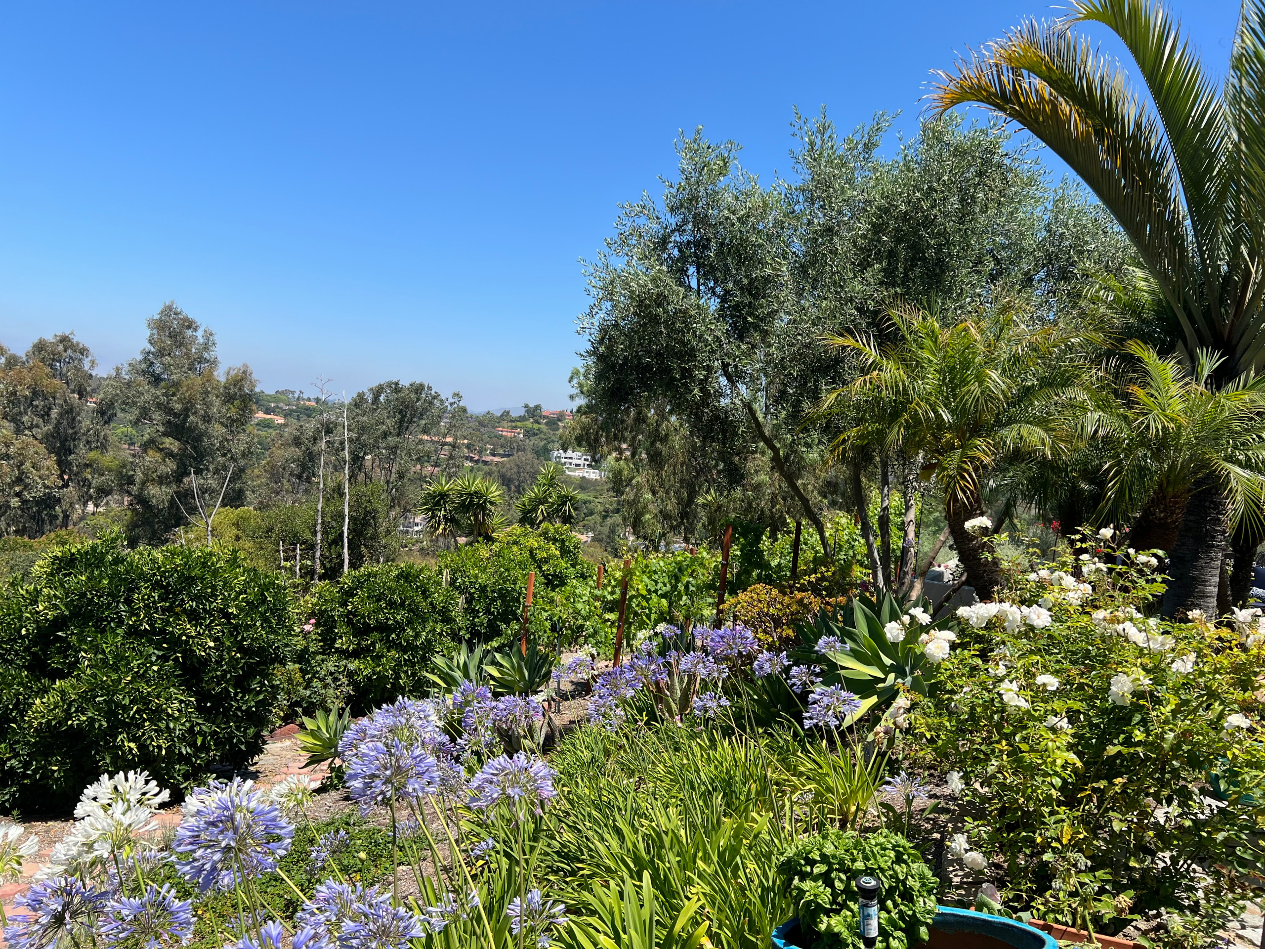 Rancho Santa Fe retreat