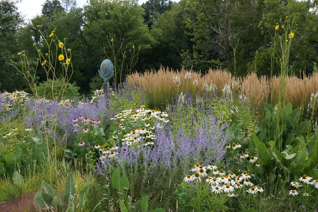 6 Gorgeous Plant Combos With Low-Water Ornamental Grasses