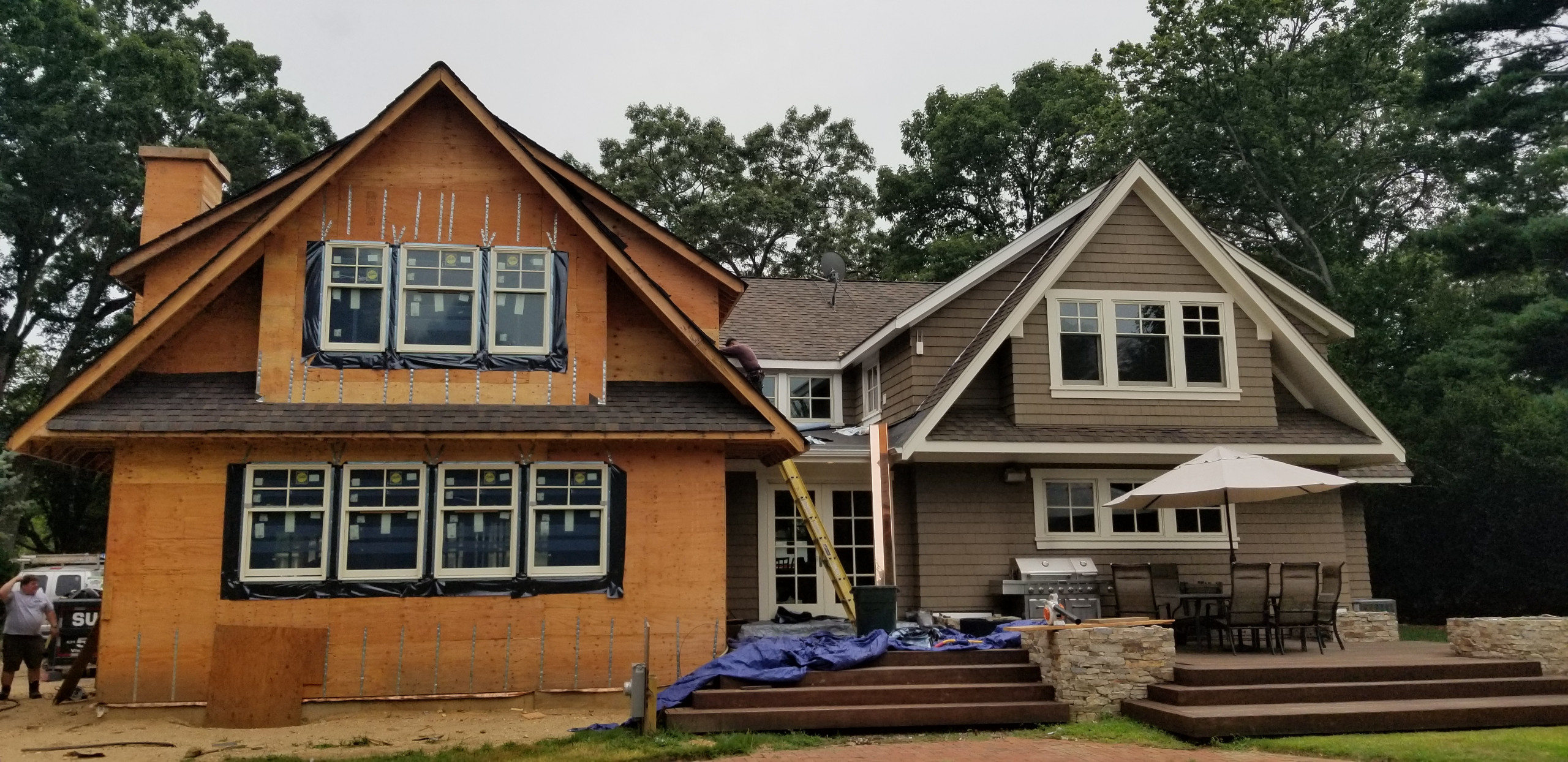 Windows & Doors
