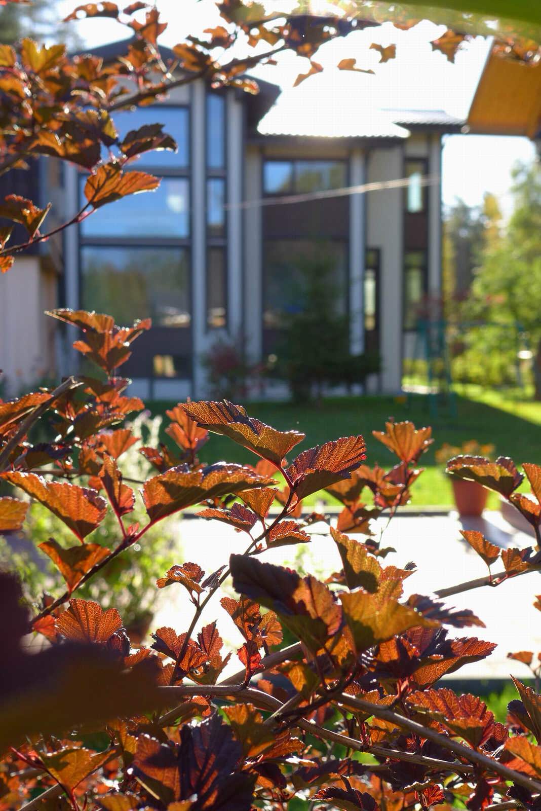 Дом для внуков 470 кв.м.