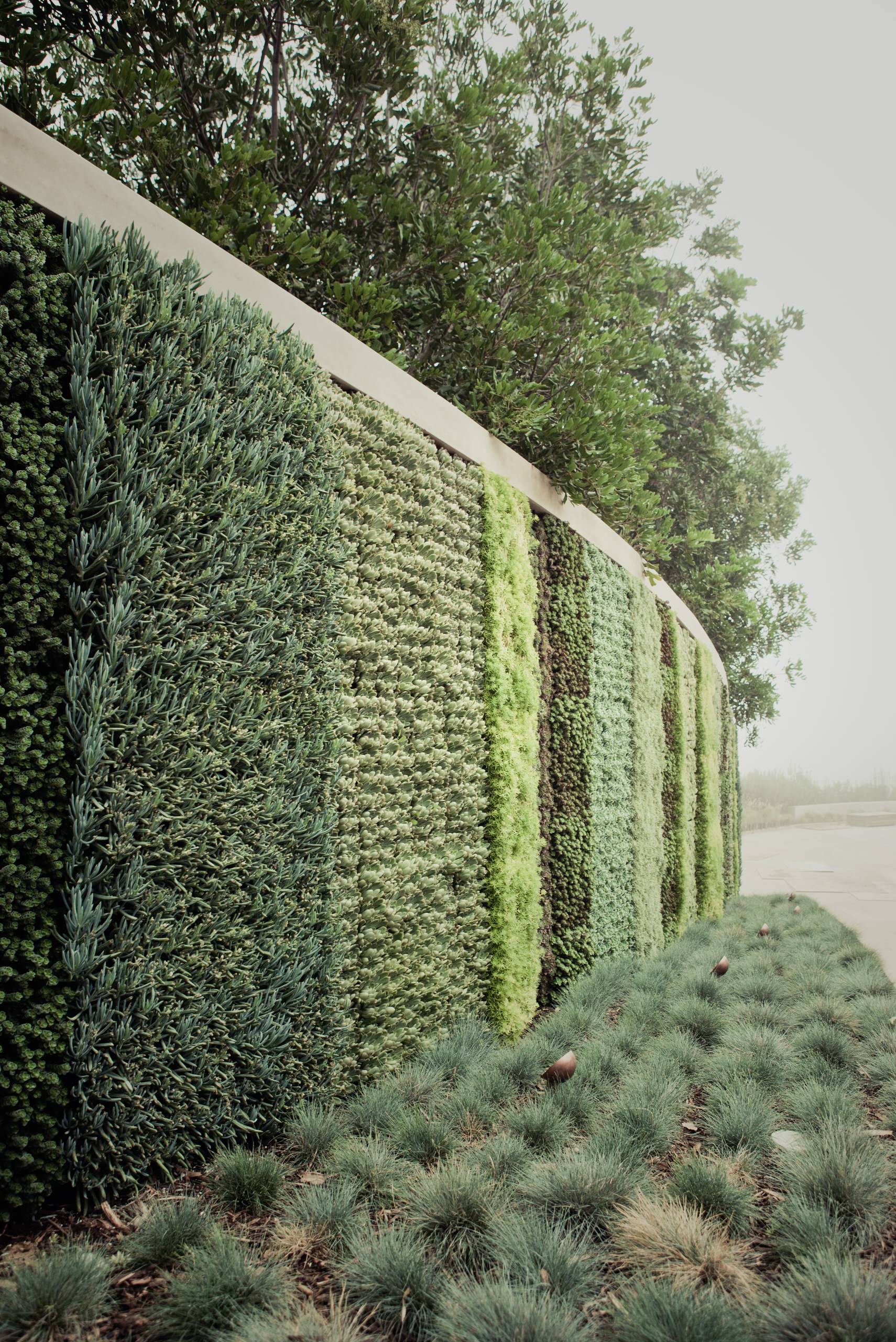 Living Walls