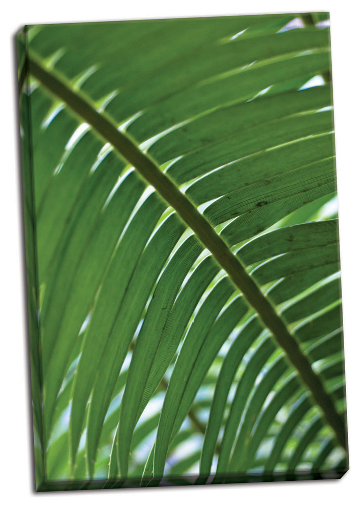 Fine Art Photograph, Leaf Detail VI, Hand-Stretched Canvas