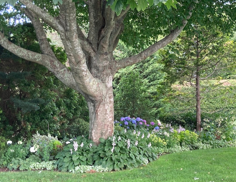 Sagaponack, Backyard pool side garden