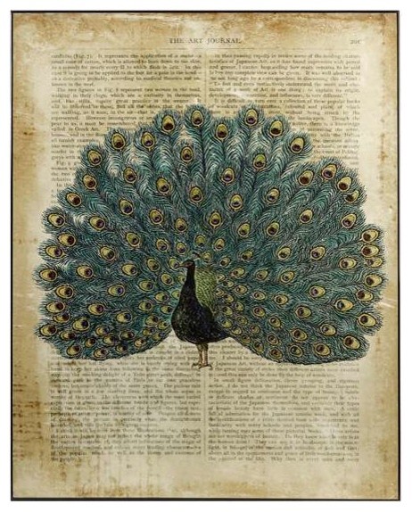 Peacock in Print Wall Decor