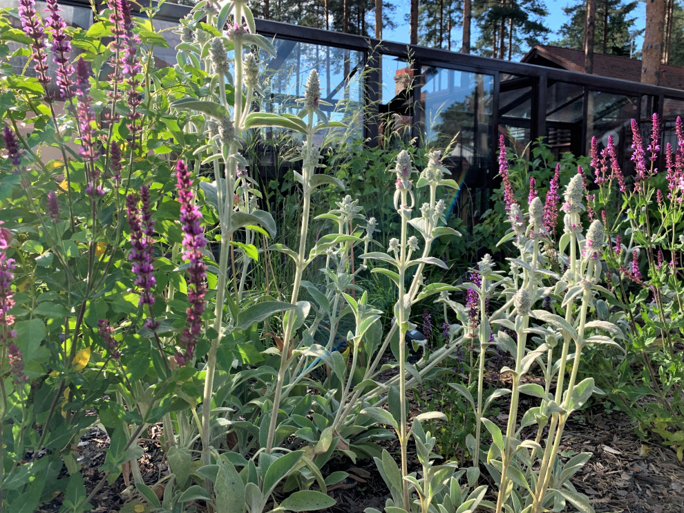 На солнечной поляне