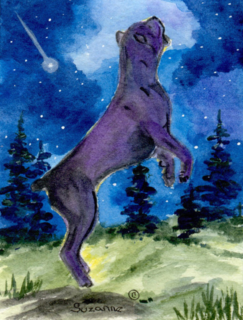 Cane Corso Flag Canvas House Size
