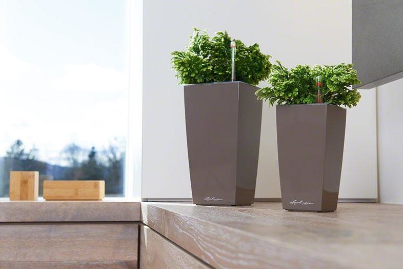 Раскройте свои планы