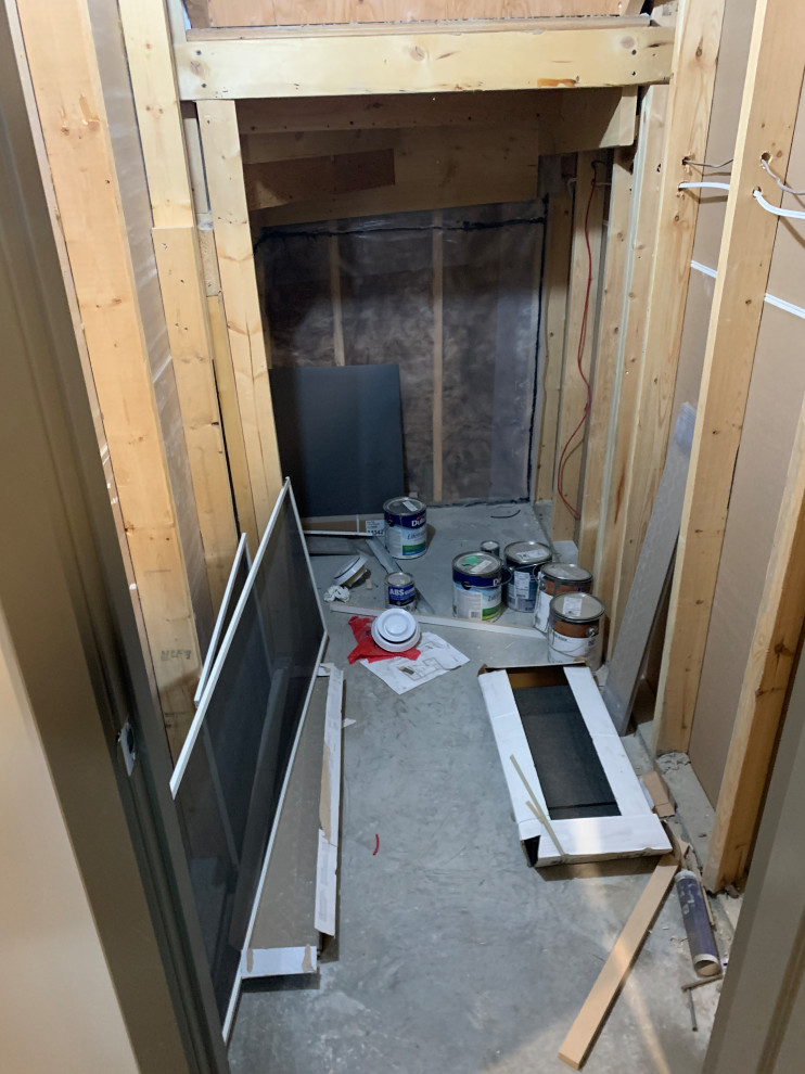 Basement Development