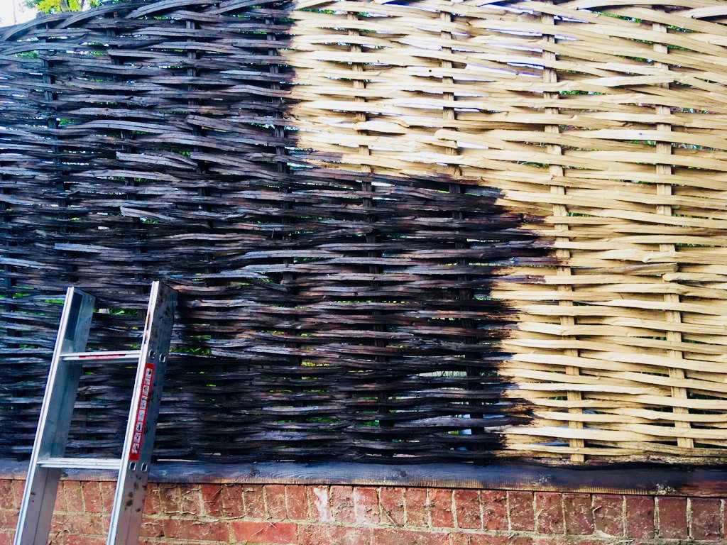 Garden Screening Ideas