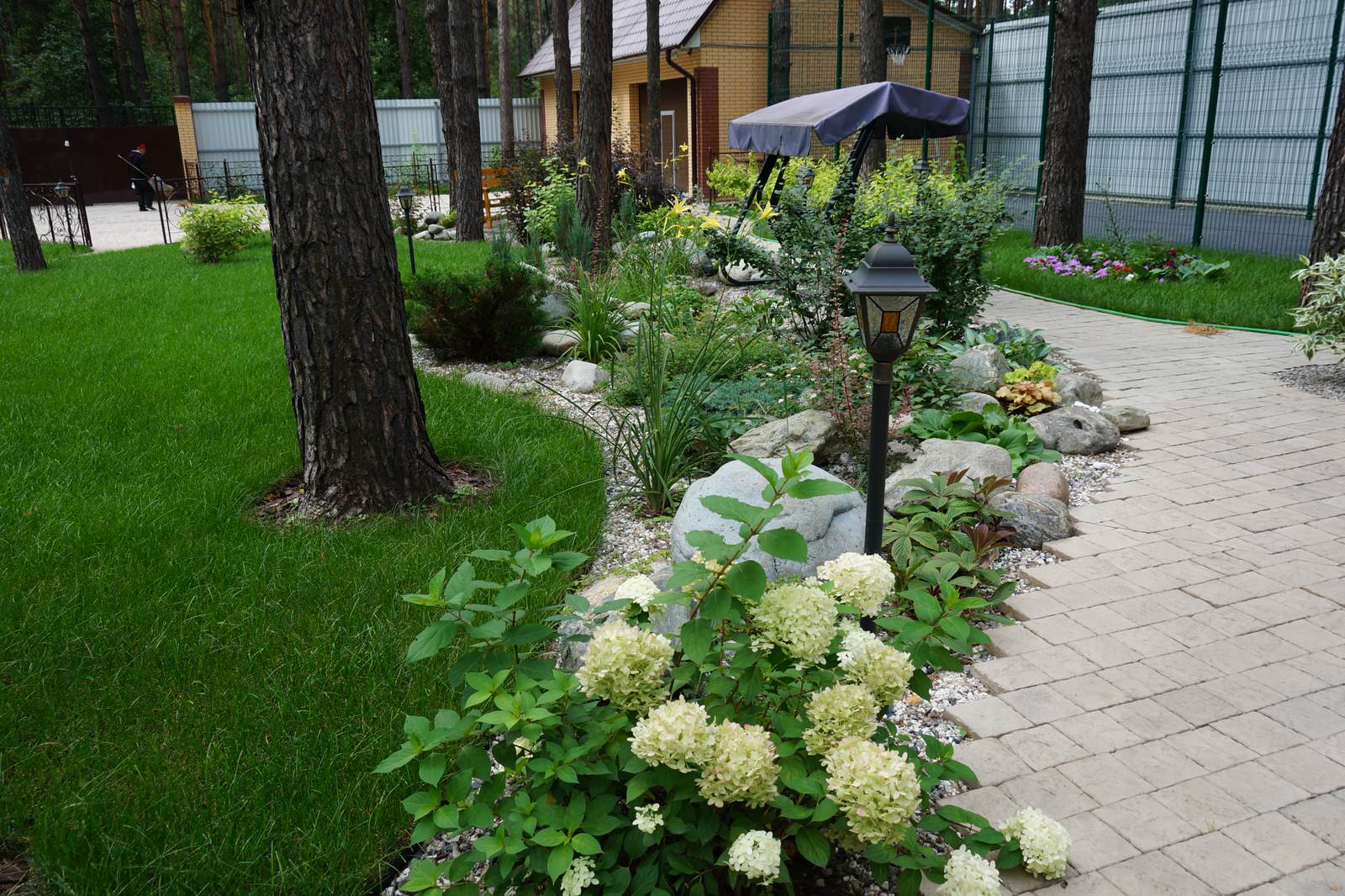 Умиротворение в сосновом лесу