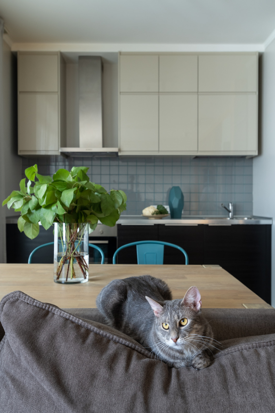 Интерьер квартиры-студии в ЖК Ньютон