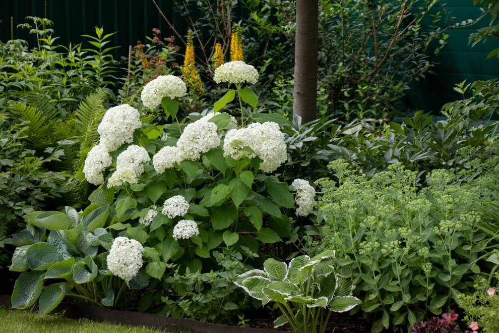 Французский садик в поселке Рыбаки Дмитровское шоссе