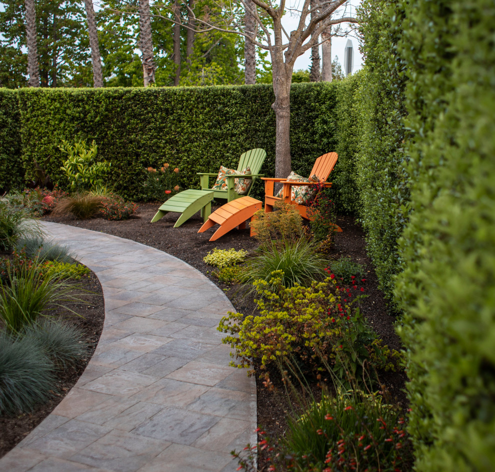 Inspiration for a small contemporary backyard partial sun xeriscape in Other with with privacy feature and concrete pavers.