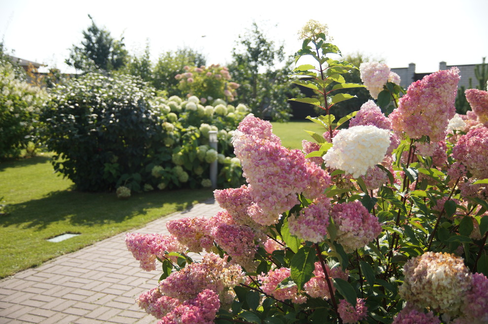 Гортензии много не бывает.