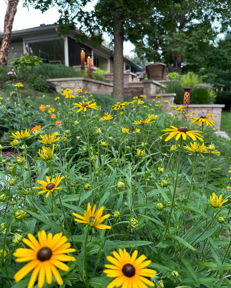 Hopkins Backyard Retreat