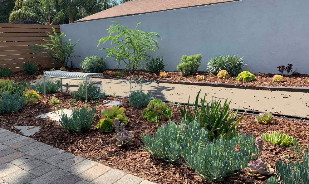 Mittelgroßer Moderner Vorgarten im Sommer mit Wüstengarten, direkter Sonneneinstrahlung, Granitsplitt und Holzzaun in Los Angeles