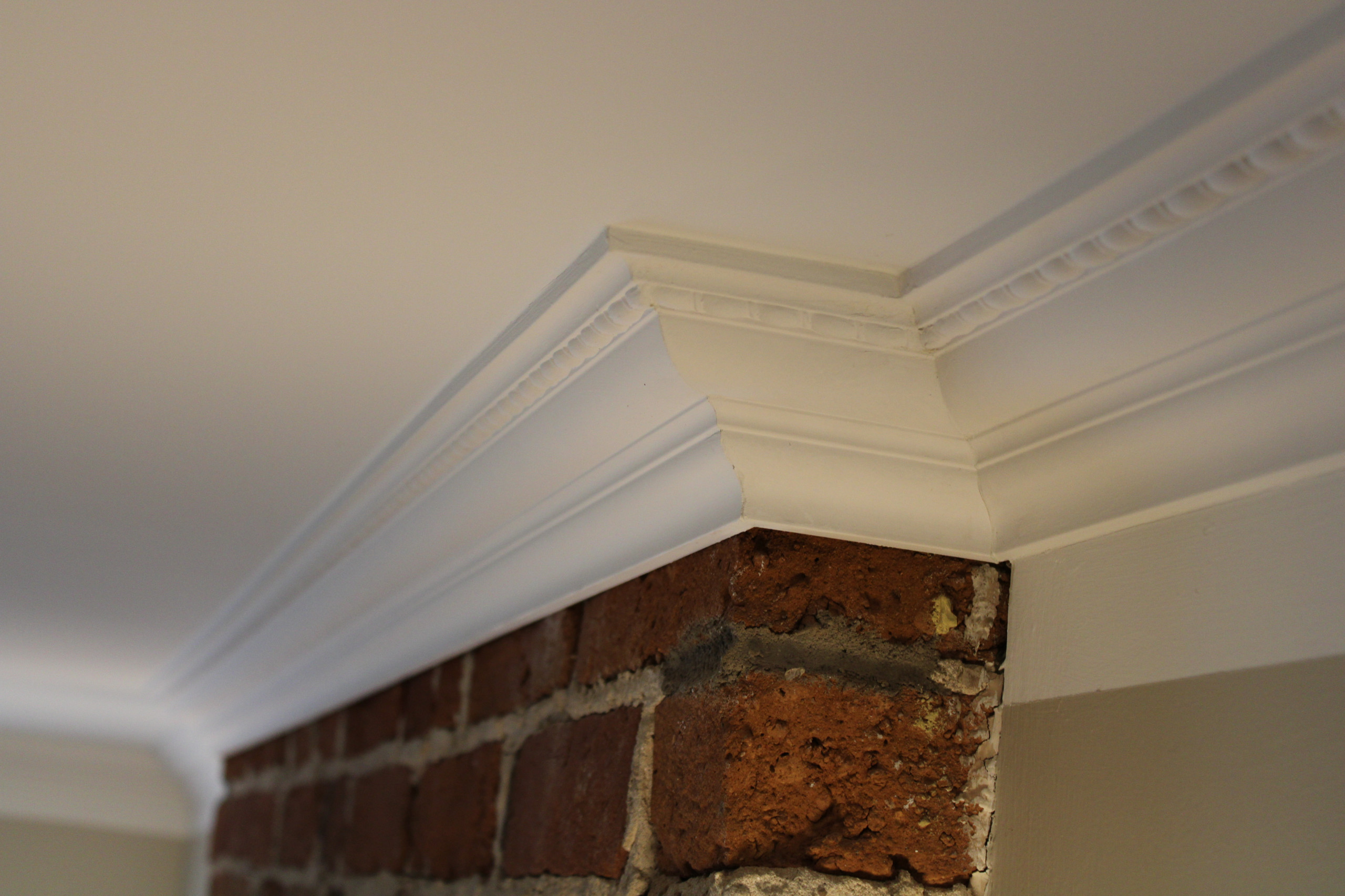 Rental Unit | Remodel
