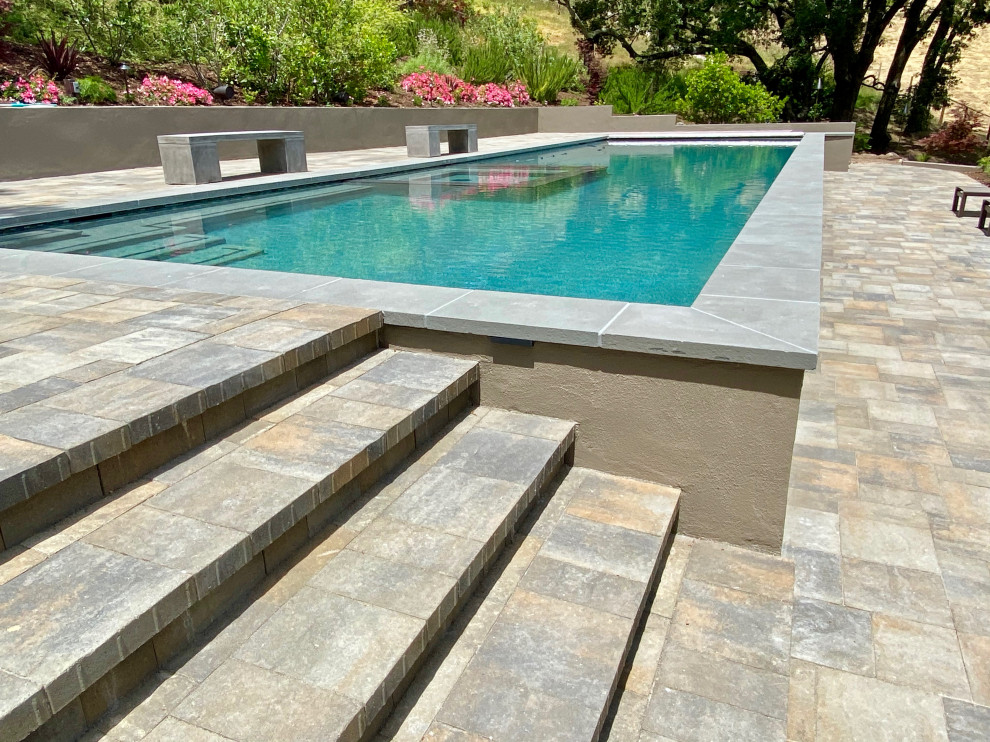 Expansive modern backyard rectangular lap pool in San Francisco with with a pool and concrete pavers.