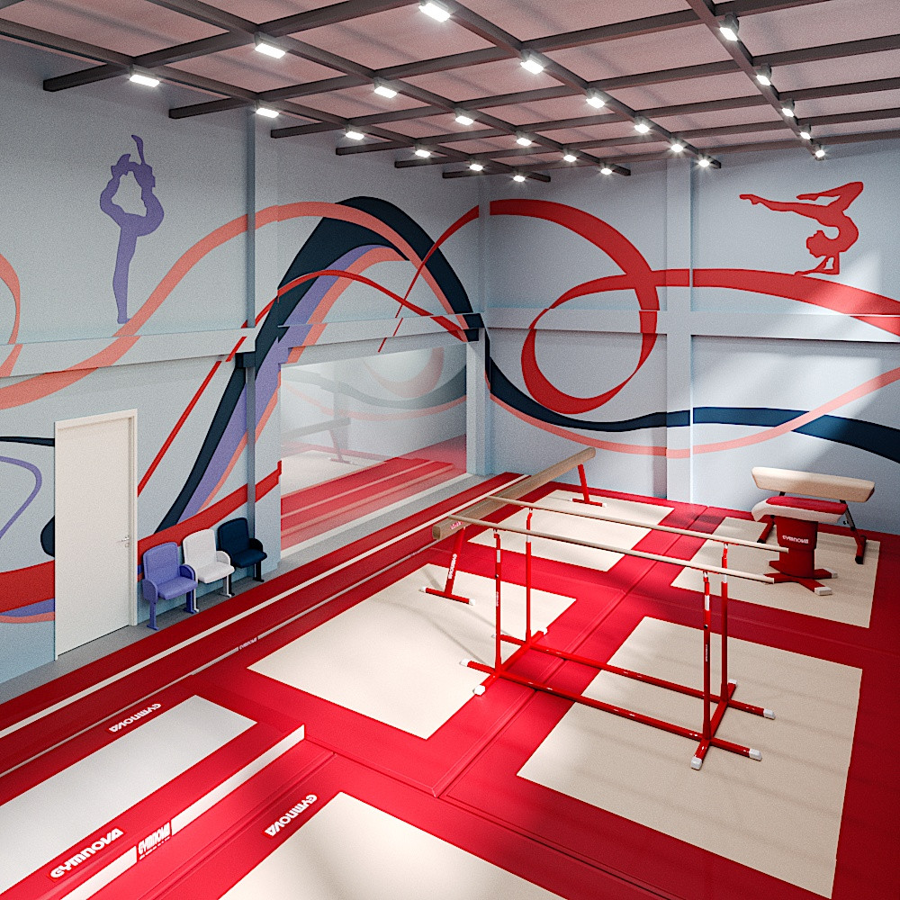 Проект школьного спортзала