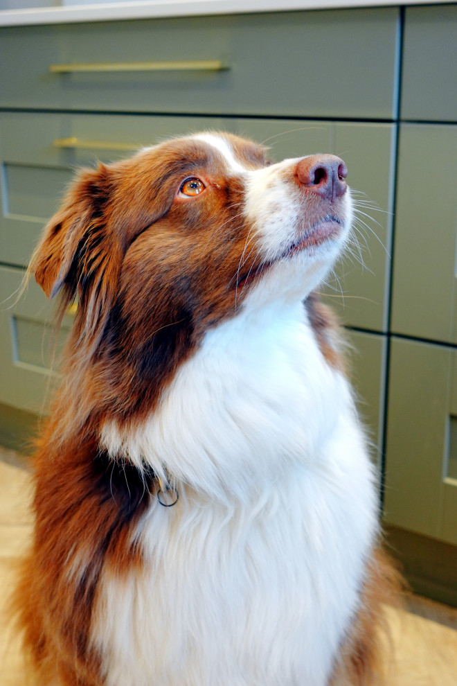 The Desford Kitchen - Colmar - RRP £27,500 - Luxe Price £21,000