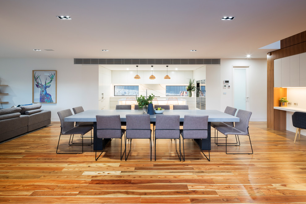 Inspiration for a contemporary open plan dining in Canberra - Queanbeyan with white walls, medium hardwood floors and brown floor.