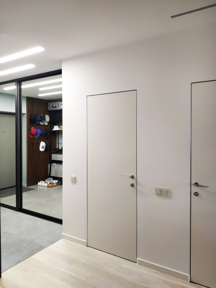 Двери со скрытым коробом.