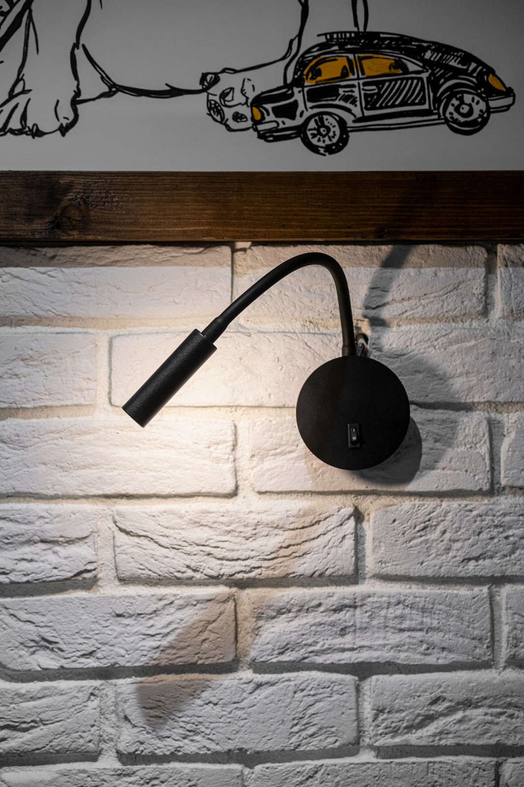 ТВ проект. Фазенда.