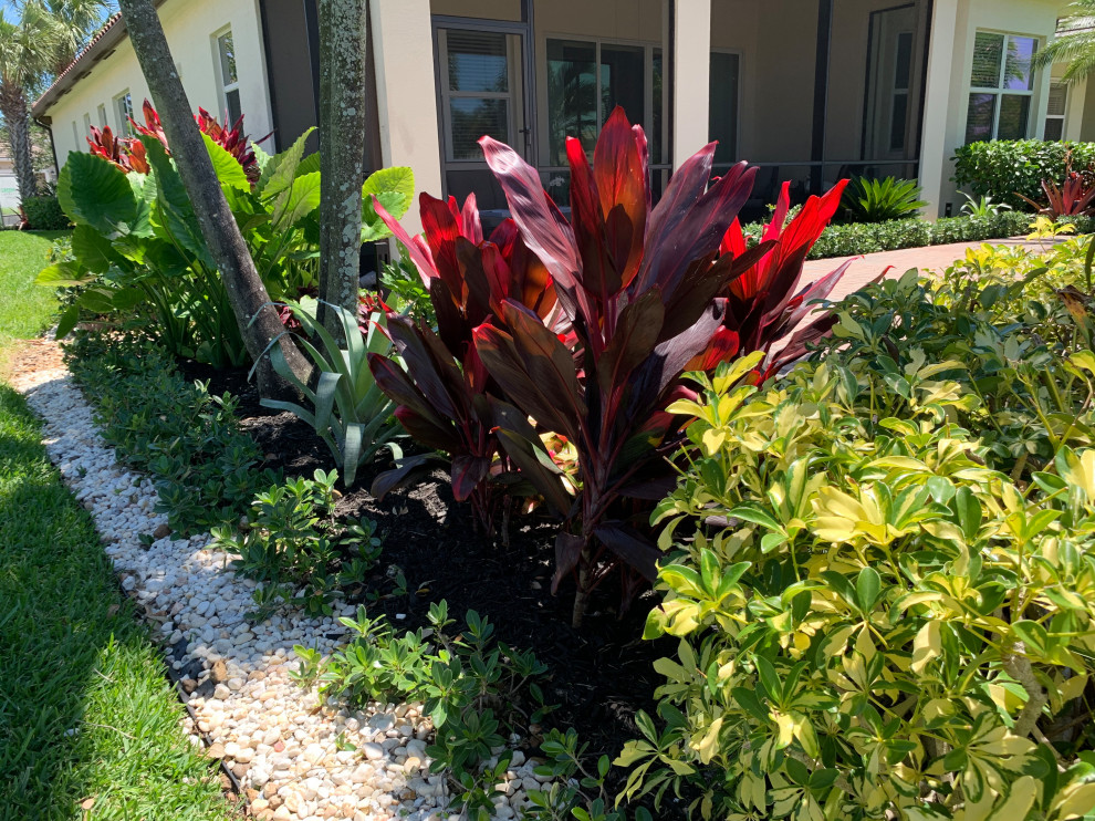 Design ideas for a small tropical backyard partial sun xeriscape in Miami with with flowerbed and river rock.