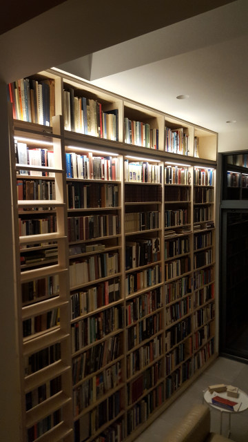 Library Room night contemporary-living-room