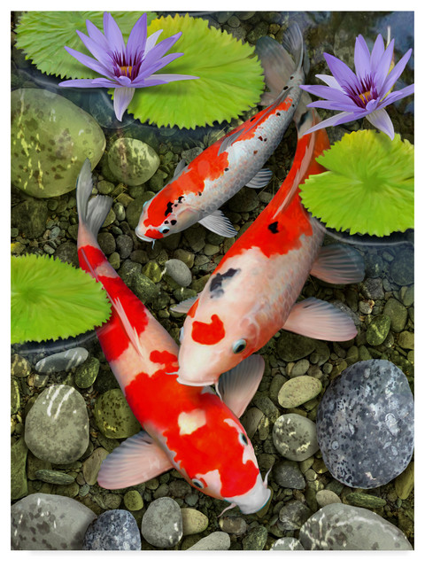 Koi Under Lily Pads By Howard Robinson Canvas Art Asian Prints