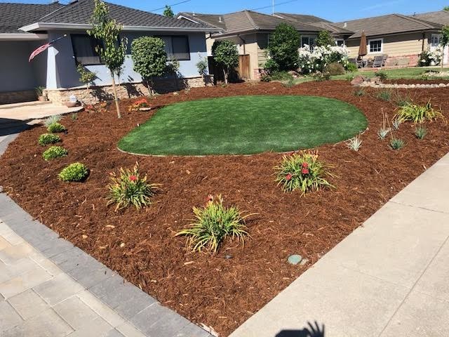 Curb Appeal- Front Yard Landscape Design