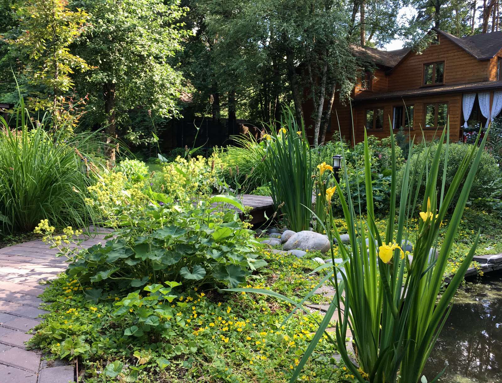 Белкин сад. Лето 2019