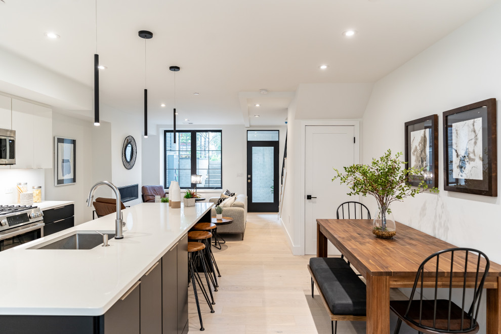 Southwest DC Duplex Renovation