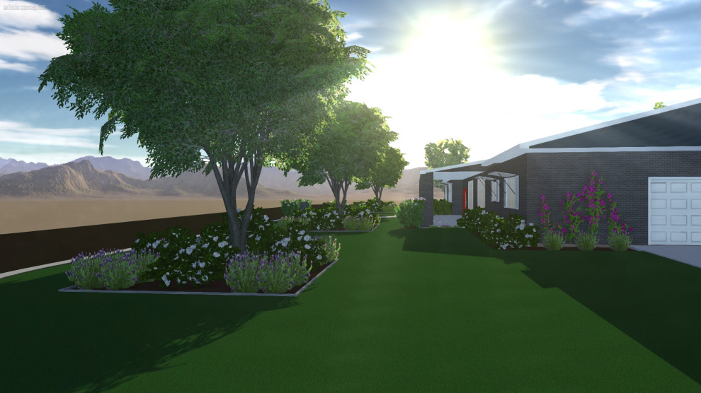 Großer Moderner Garten im Frühling mit direkter Sonneneinstrahlung und Betonboden in Phoenix