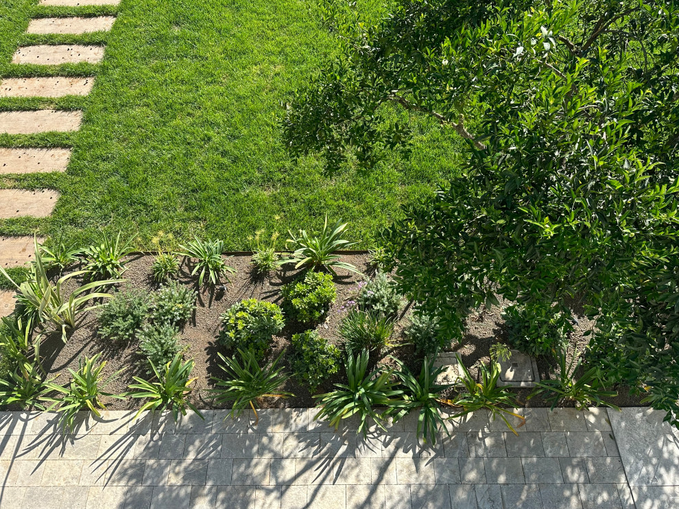 Un giardino ad Anzio