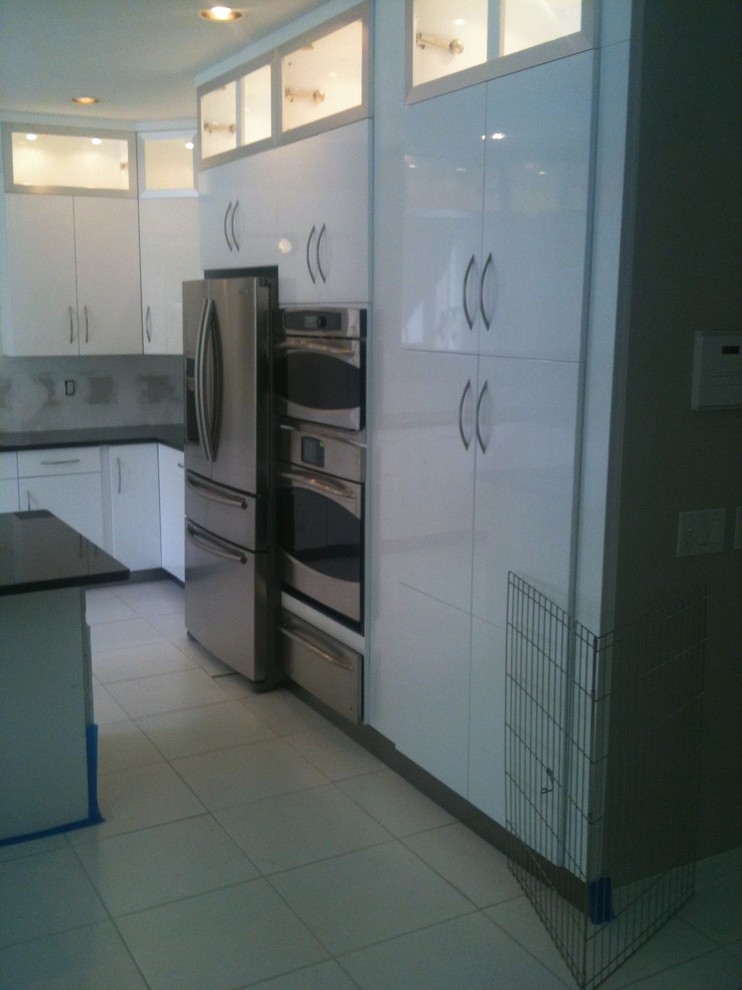 Kitchen - transitional kitchen idea in Miami