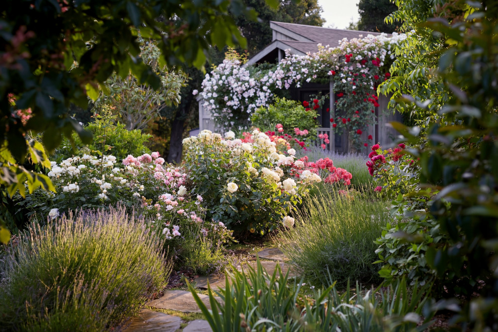 Design ideas for a traditional landscaping in San Francisco.