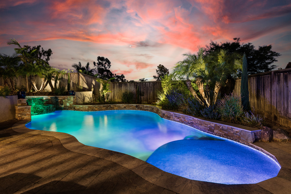 Photo of a large traditional back custom shaped natural swimming pool in San Diego with with pool landscaping and concrete paving.