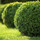 Lehigh Lawn Care, Janitorial & Handyman Services