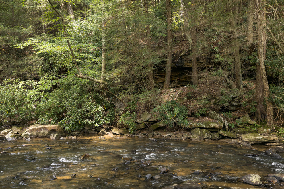 The Creek House