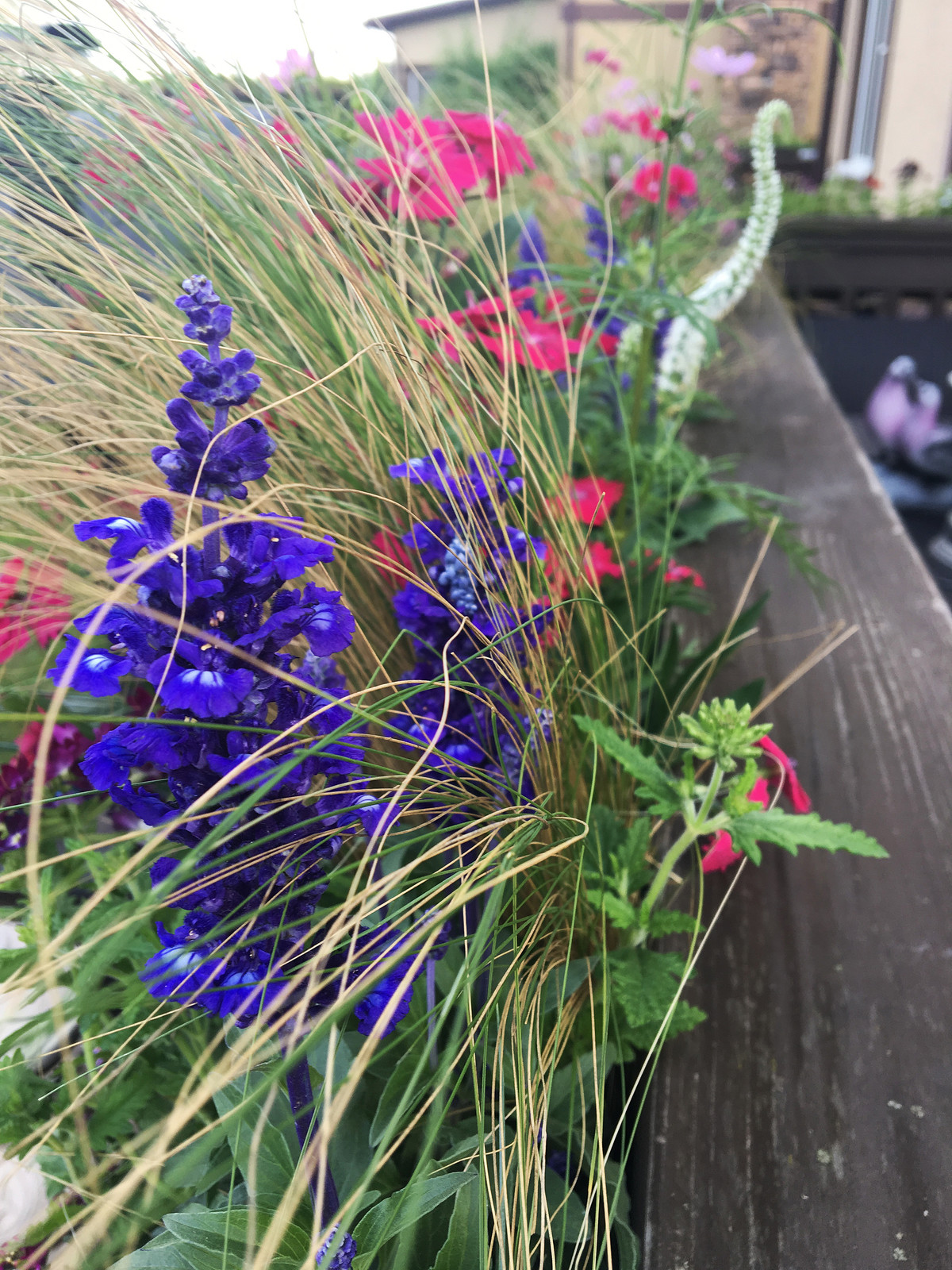 Терраса в Новых Вешках