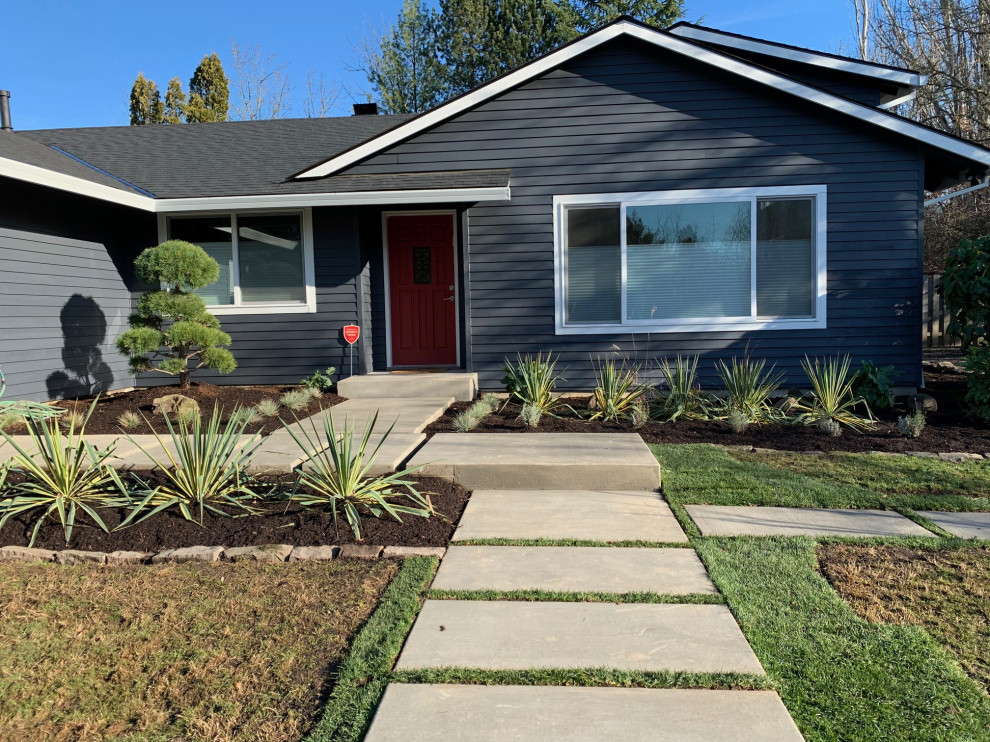 Photo of a mid-sized midcentury front yard full sun xeriscape for winter in Portland with with path and concrete pavers.
