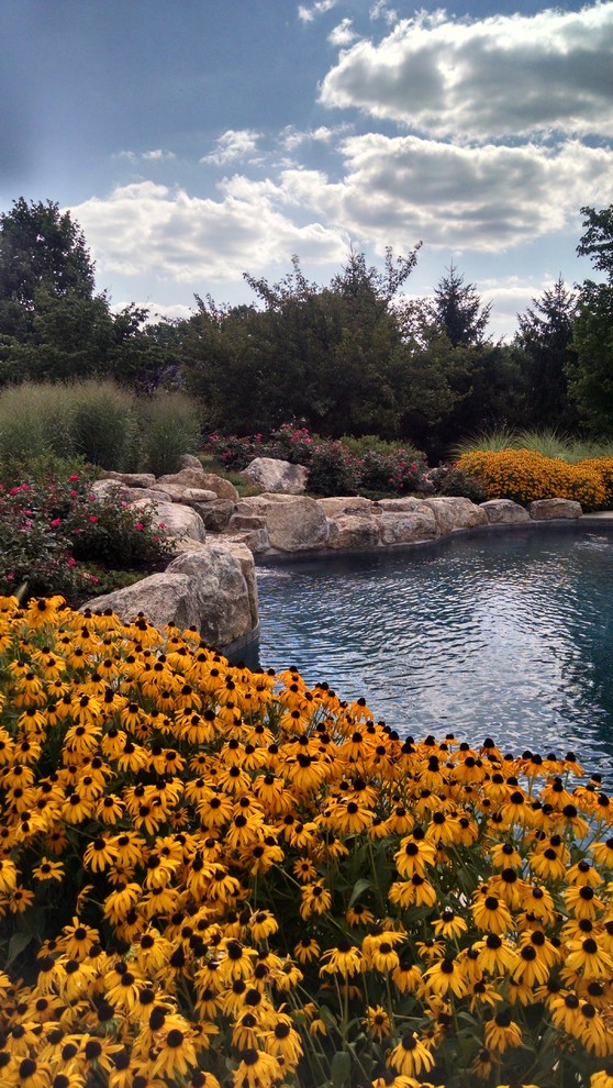 Inspiration for a rustic backyard custom-shaped natural pool remodel in New York