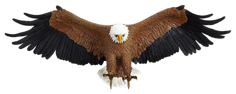 American Bald Eagle Patriotic Wall Sculpture, Freedom's Pride Outdoor