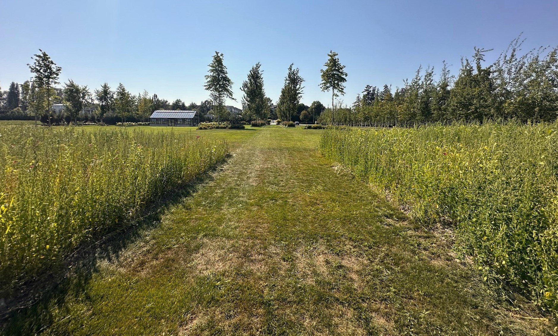 Athiana Acres:  A Family Legacy (An organic Regenerative Farm)